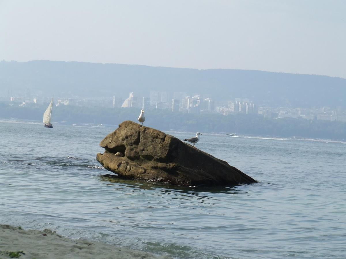 Asparuhov Guest Rooms And Apartments Βάρνα Εξωτερικό φωτογραφία
